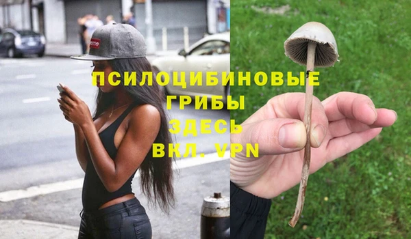 крисы Арсеньев