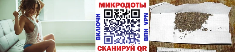 Псилоцибиновые грибы Cubensis  hydra ONION  Салехард  купить закладку 